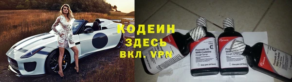 дмт Горняк