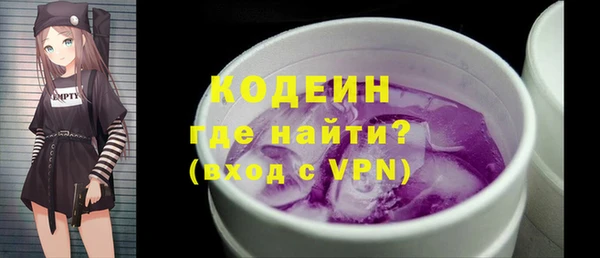 стаф Гусь-Хрустальный