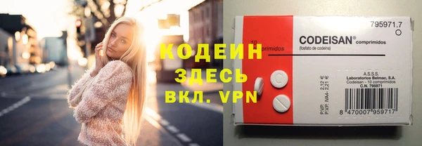 дмт Горняк