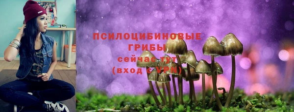 молекула духа Горно-Алтайск