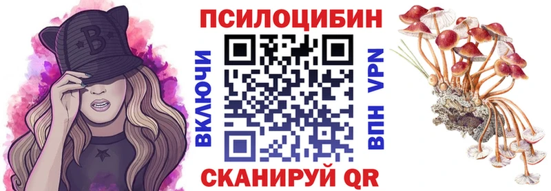 Галлюциногенные грибы Psilocybine cubensis  Купить закладки  Мценск 